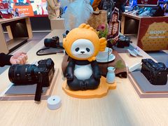 -Sony Store 索尼(上海淮海中路店)