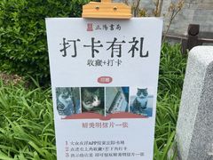 -正阳书局(西四南大街店)