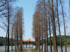 -西樵山风景名胜区-天湖公园