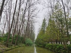 -合肥滨湖国家森林公园