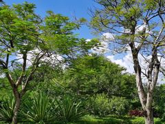 -风云岭森林公园