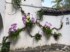 -柳侯公园