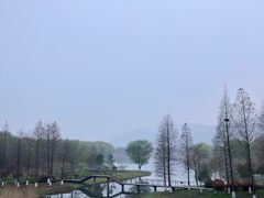 -长广溪湿地公园