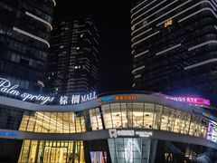 -棕榈MALL