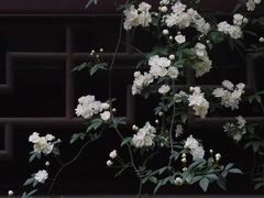 -老门东历史文化街区