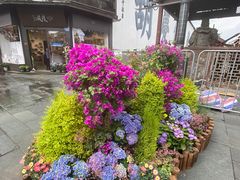 -河坊街景区