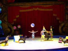 -珠海横琴长隆《卡卡虎奇遇记》