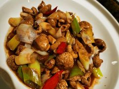 祁连山黄蘑菇-宁夏国强手抓羊肉·清真菜(未央路凤三店)