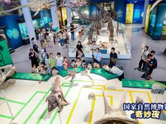 -国家自然博物馆