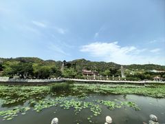 -南普陀寺