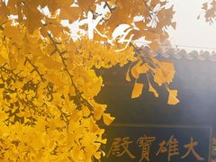 -红螺寺