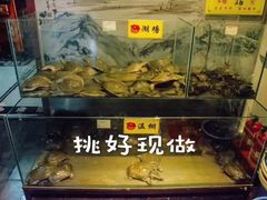 水产区-鳖皇甲鱼餐厅(平阳路店)