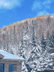 -大秃顶子山