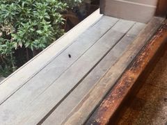 -老湘亲·品鉴湘菜(湖里店)