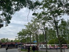 -黄海国家森林公园