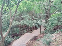-紫金山山顶公园