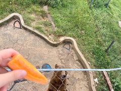 -无锡动物园·太湖欢乐园