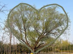 -永定河休闲森林公园