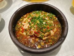 -新蜀会四川豆花(五羊店)