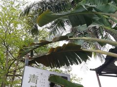-万绿园