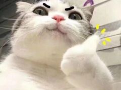 -老三烧烤(二环西路店)