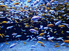 -成都浩海立方海洋公园