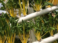 -兴芮温泉度假区