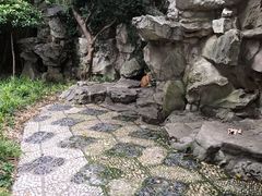 -静安公园(静安寺街道)