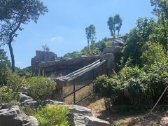-宁波野生动物园