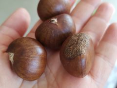 -金栗王(清扬路店)