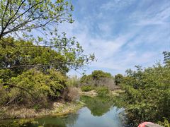 -梁鸿国家湿地公园