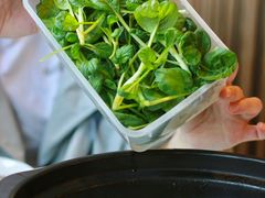 有机乌塌菜-烹然四季椰子鸡火锅(团结湖总店)