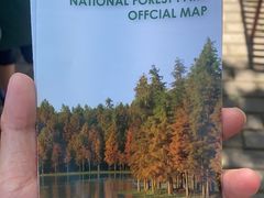 -上海海湾国家森林公园