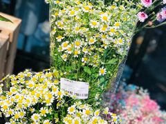 -盒马鲜生(莱蒙都会店)
