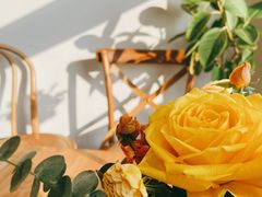 -AHAVA·Fang Baking Studio