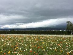 -富田农场