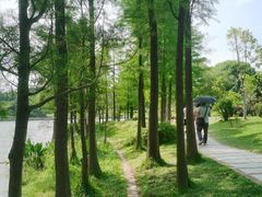 -东莞植物园