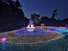 -广西壮族自治区药用植物园