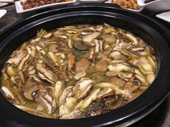 -菌海森林·非遗野生菌火锅(西山区滇池路摩根道店)