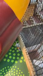 点击看大图 -卡通尼·Safari非洲探索乐园·生日会(金桥国际商业广场店)