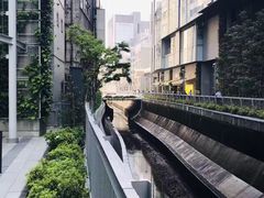 -涩谷区