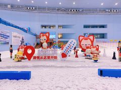 -哈尔滨热雪奇迹