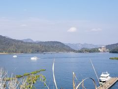 -金盆阿嬷香菇茶叶蛋(玄光店)