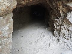 -上海佘山国家森林公园天马山园