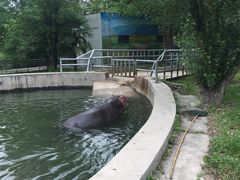 -西安秦岭野生动物园