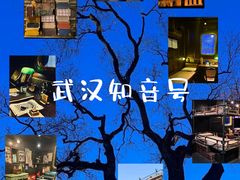 -武汉知音号