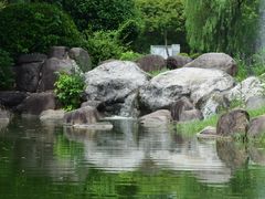 -新虹桥中心花园