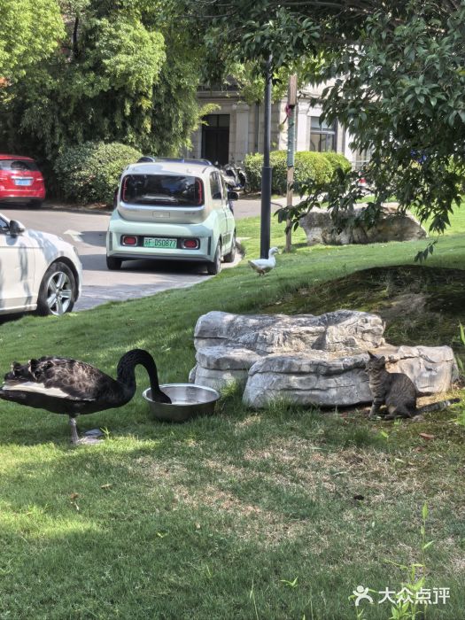 南通濠河风景名胜区图片