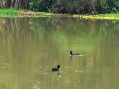 -桤木河湿地公园
