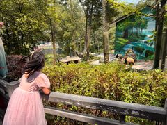 -中国大熊猫保护研究中心雅安碧峰峡基地